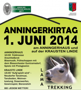 anningerkirtag2014 